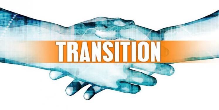  An Overview of the US's Transition Tax